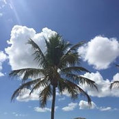 Bobbi Grebenc's photo