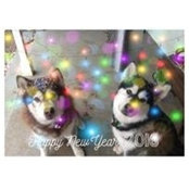 Debbie Hunyada's photo