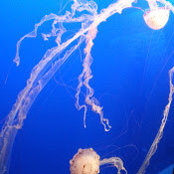 helen wang's photo