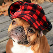 Brady and Jennifer Mallon's photo