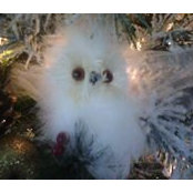 Paula Gratzer's photo