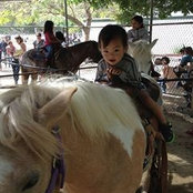 Annie Chow's photo