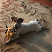 Carla Loper's photo