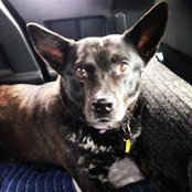 Amy Ortiz's photo