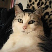 Jocelyn Chapman's photo