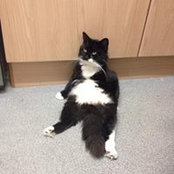 Lin Walker's photo