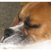 Robert Ford's photo
