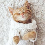 Marsha Zimsky's photo