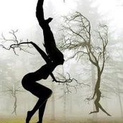 Tanya Trimborn's photo