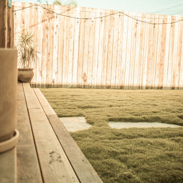Full yard makeover