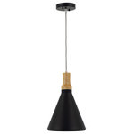 Yosemite Home Decor - Yosemite Home Decor 1 Light Pendant, Black Stainless Finish - Sleek and stylish black pendant by Yosemite Home decor will add sophistication to any room.  Yosemite Home decor lighting is made with technologies that help you improve your energy efficiency and save you money.