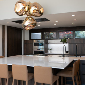 Mid century contemporary house