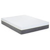 Pemberly Row 12" Twin Long Mattress and Model Z Bed Base in White