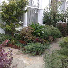 Front garden
