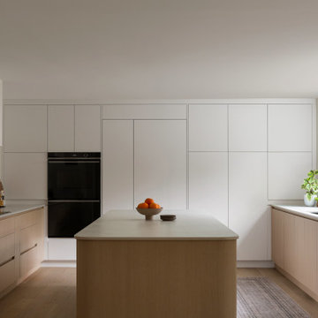 Minimalist Kitchen Renovation | Canopy Residence | Whole Home Renovation in Unio