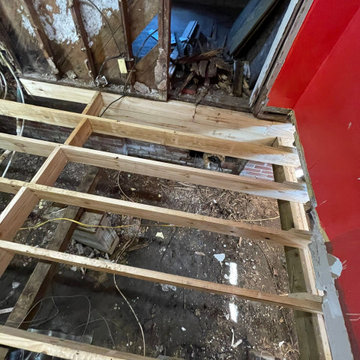 Termite Damage Is at it Again