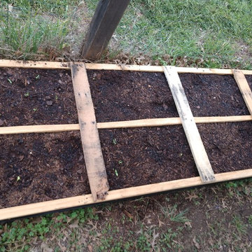 Food Garden