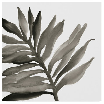 Chris Paschke 'Tropical Palm Iii Bw' Canvas Art, 18"x18"