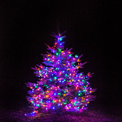 The Farm - Outdoor Lighting
