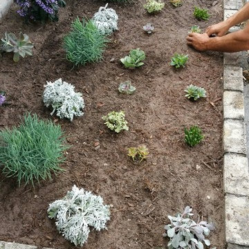 ROCKRIDGE Project