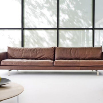 Modern Sofas and Lounge Chairs