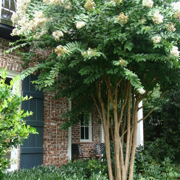 Landscape Management