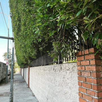 Gates & Fences
