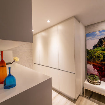 Brickell Penthouse
