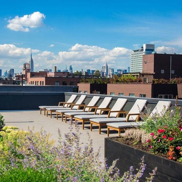 North 8 in Brooklyn