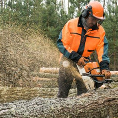 Tree Services Cincinnati