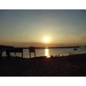 Mona Suchocki's photo