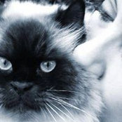Tere Atzori's photo