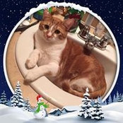 Robyn Barna's photo