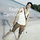 sa_mith