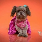 Sherri Showalter's photo