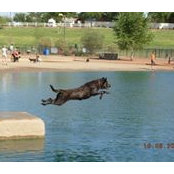 John Welch's photo