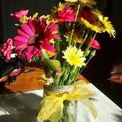 Beth Thompson Meahl's photo