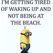 Angi Greene's photo
