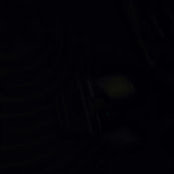 Foto von Small Fry