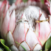 Tracy Vahle's photo