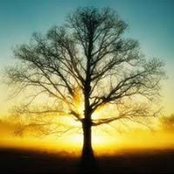 Judy Polinski's photo