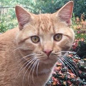 Donna Cook's photo