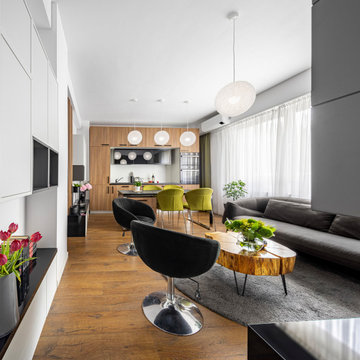 Urban contemporary apartment