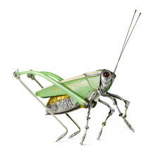 Guest Picks: Animal Accents for Lively Decor
