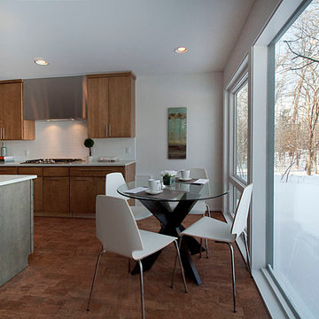 Ann Arbor Mid-Century Modern Renovation