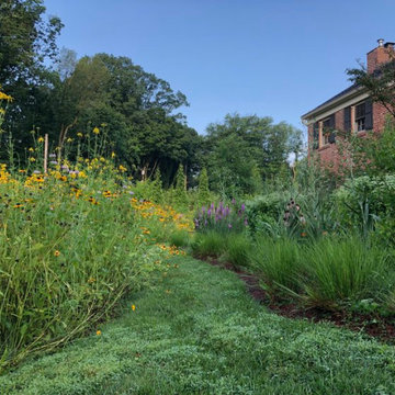 Bryn Mawr, PA - Meadow Design/Install