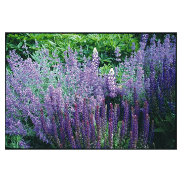 Perennial Gardens