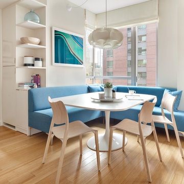 Battery Park City Apartment