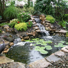 Landscape 2