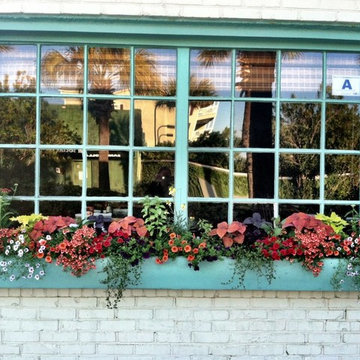 Potted Plants & Flower Beds